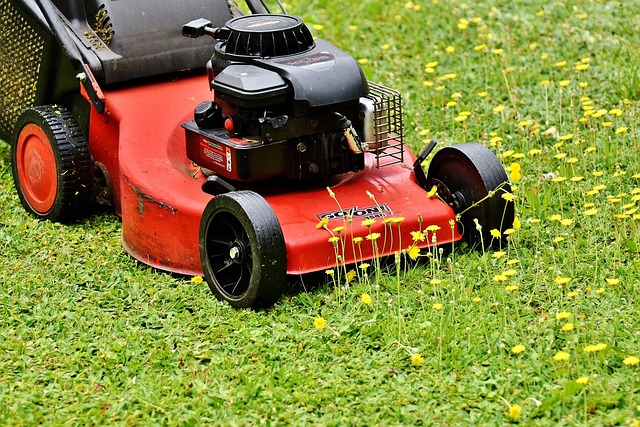 lawn-mower-2408925_640