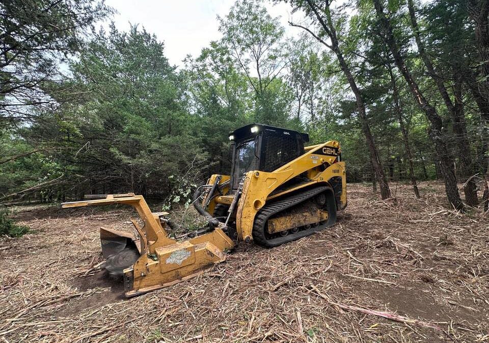 Paddock Land Services